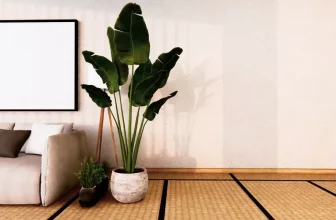 What Are the Most Common Home Styling Mistakes to Avoid?