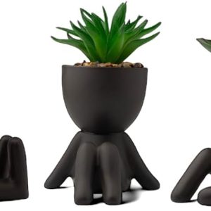 LUNIER Seated Succulent Set (Set of 3) | Porcelain Pots with Small Artificial Plants (Indoor) | Faux Plant for Indoors | Bedroom, Office Desk, Bathroom Plant-Set | Small Fake Plants, Shelf Decorations