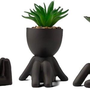 LUNIER Seated Succulent Set (Set of 3) | Porcelain Pots with Small Artificial Plants (Indoor) | Faux Plant for Indoors | Bedroom, Office Desk, Bathroom Plant-Set | Small Fake Plants, Shelf Decorations